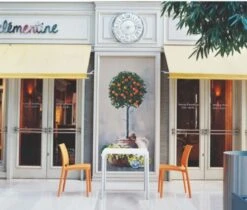 SIESTA ‘Maya’ Chair – Various Colours 19 SIESTA ‘Maya’ Chair – Various Colours -Furnabrew kitchen store FL11810722102 2 500x425 1